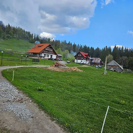 Pensiunea Scarisoara * Ghetari