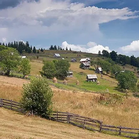 Pensiunea Scarisoara *