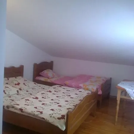 Pensiunea Scarisoara Farma