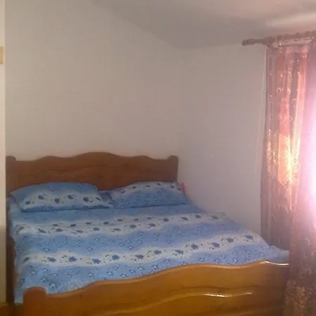 Pensiunea Scarisoara *