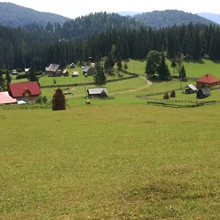 Farma Pensiunea Scarisoara *