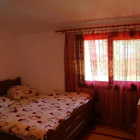 Agroturismo Pensiunea Scarisoara *
